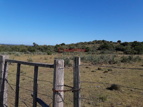 Chacra- Ref: 634