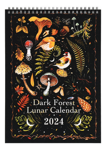 [] 2024 Dark Forest Lun