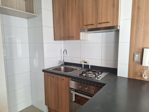 Arriendo Dp Estudio Amplio 1b Terraza Gorbea Stgo