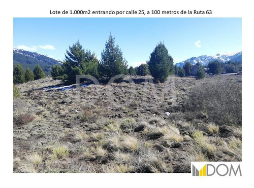 Imagen 4 de 9 de Terreno - Meliquina