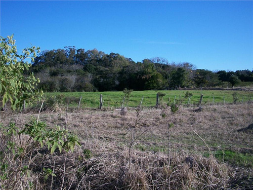 Imagem 21 de 30 de Sítio Rural À Venda, Lami, Porto Alegre. - Si0006