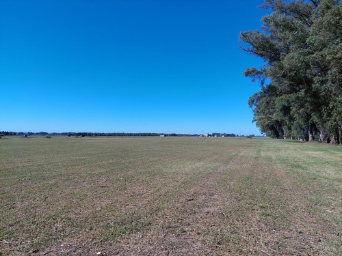 Imagen 4 de 15 de Venta-terreno - Los Tres Pinos-gral Rodriguez-oportunidad!!! Apto Construccion
