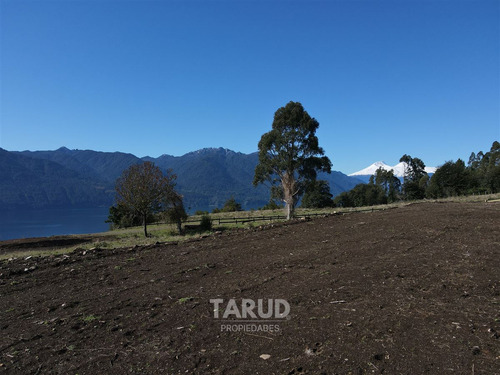 Parcela 5000 M2 Lago Riñihue Ribera Sur. Región Los Ríos