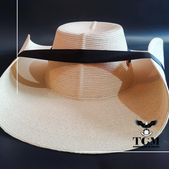 pix Dibujo Sombrero Calentano Png sombrero de palma tierra caliente