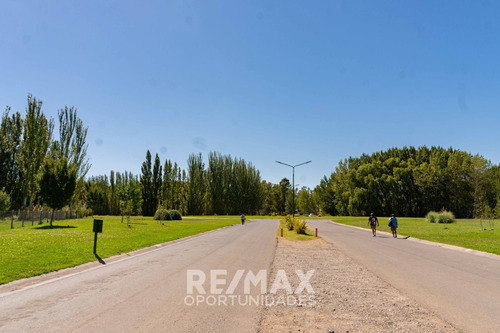 Imagen 17 de 17 de Venta - Terreno Canales De Plottier