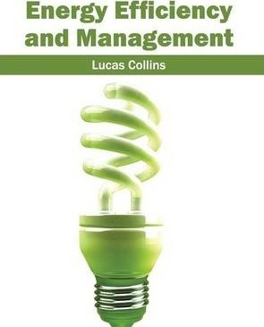 Libro Energy Efficiency And Management - Lucas Collins