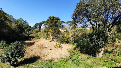 Imagem 22 de 30 de Terreno A Venda No Bairro Santa Cândida Em Curitiba - Pr. - 5791-1