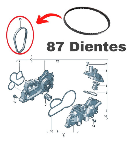 Banda De Bomba Agua Original Para Vw Taos Audi Q2 A1 Q3 1.4t