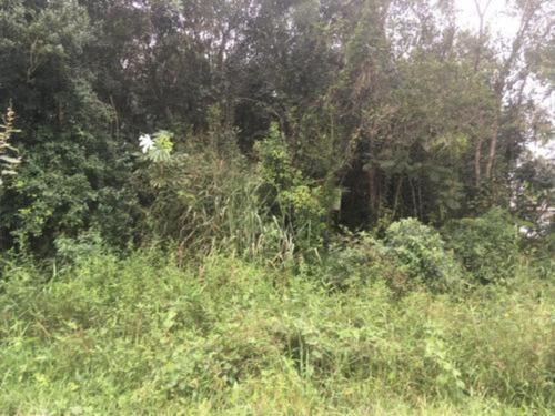 Imagem 3 de 3 de Terreno No Jardim Palmeiras, Em Itanhaém=referência: 5918