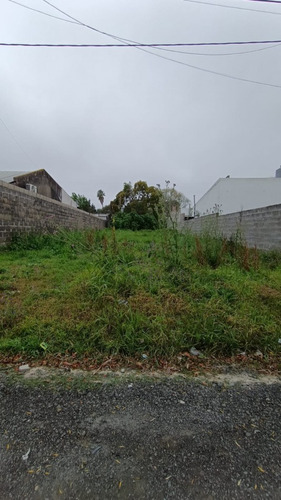 Lote Zona Garrigo Y Ohiggins