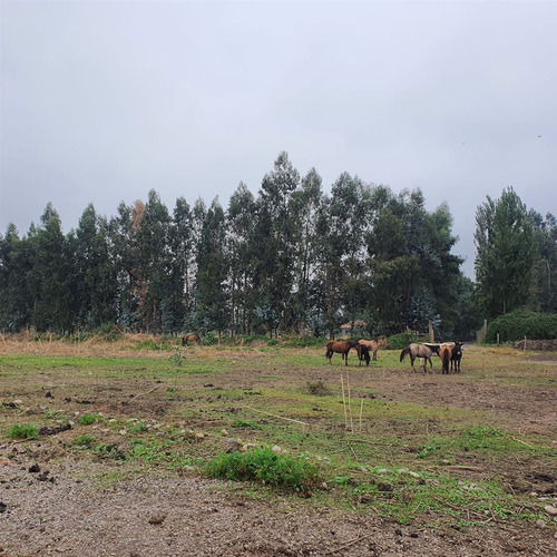 Excelente Terreno En Sector Roma San Fernando