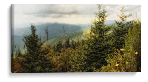 Canvas Lab Cuadro Early Otoño Vista 160x80, Danny Head