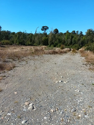 Campo De 16 Hectáreas En Chiloé