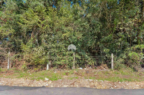Imagem 18 de 21 de Área - Comercial/residencial - 932545