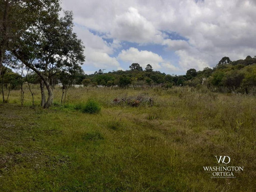 Imagem 15 de 21 de Chácara À Venda, 8500 M² Por R$ 260.000,00 - Zona Rural - São José Dos Pinhais/pr - Ch0060