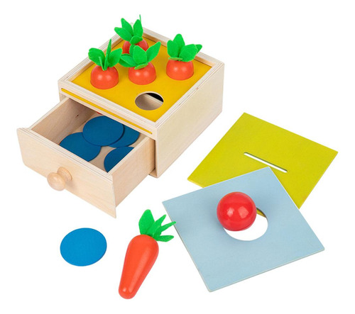 Montessori Material Sensorial Ball Matching Box Niños