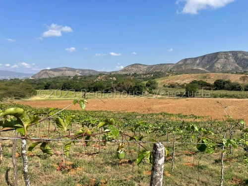 Carlos Colmenarez Vende Fabulosa Finca De 13ha. Con: 2 Lagunas, Agua Por Buco A Gravedad, Posee Electricidad 110 Y 220, Ubicada A Pocos Minutos Del Centro Del Tocuyo Con Acceso Directo De La Autopista