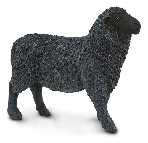 Safari 162229 Black Sheep | New