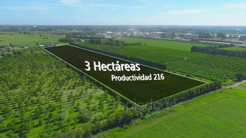 Imagen 2 de 21 de Venta Campo 11 Has Rincon Del Cerro Montevideo