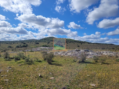 Imagen 15 de 22 de Campo Turístico 145hás En Zona De Pan De Azúcar