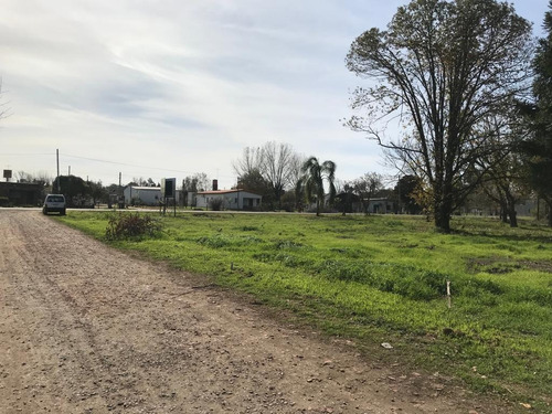Imagen 5 de 30 de Terreno - Ibarlucea