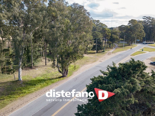 Imagen 7 de 12 de Terreno En Venta En Pinamar