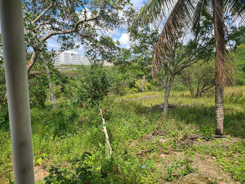 Imagem 7 de 8 de Sitio Em Areia Branca - Lauro De Freitas