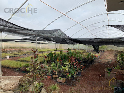Parque Ecológico En Venta En Lencero - La Tinaja Emiliano Zapata Veracruz, Amenidades En Funcionamiento Para Inversión