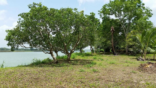 Venta Terreno 4,277 M² Juana Moza Frente Al Rio Tuxpan Veracruz