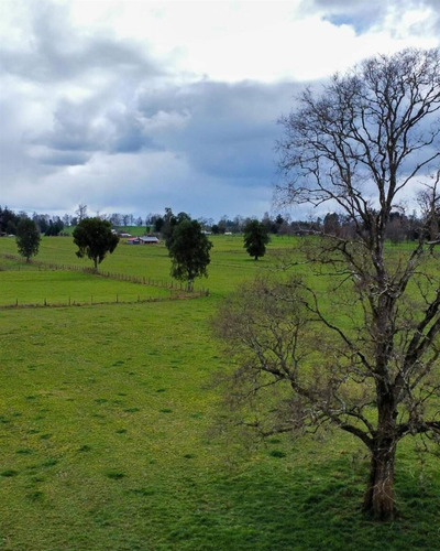 Parcelas A 13 Minutos Del Lago Ranco, En Puerto Nuevo