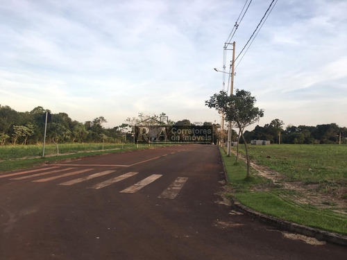 Imagem 4 de 9 de Terreno À Venda, 300 M² Por R$ 169.900,00 - Loteameneto Verdes Pampas - Foz Do Iguaçu/pr - Te0044