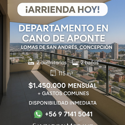 Espectacular Depto 2 Dorm En Lomas De San Andrés Concepción