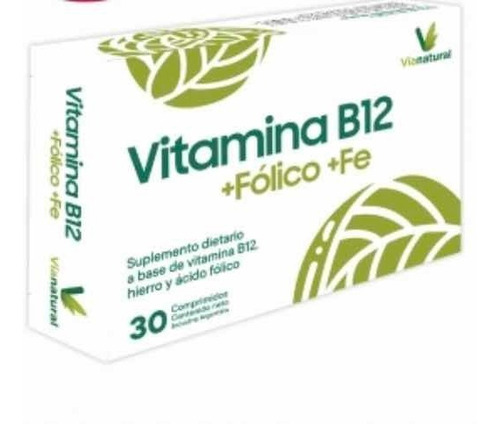 Imagen 1 de 1 de Vitamina B12 1000 Mcg + Fólico + Hierro Via Natural Sabor Sin Sabor