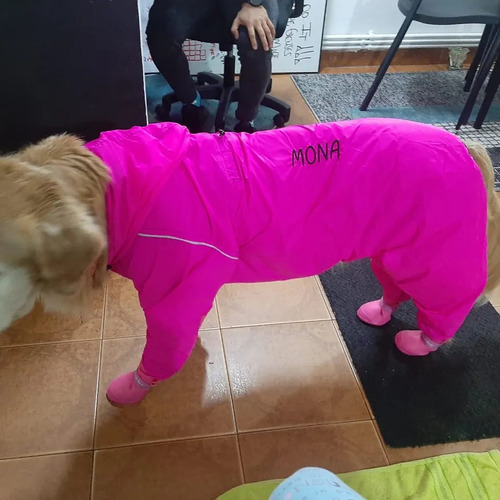 Enterizo Impermeable Para Perros Y Gatos