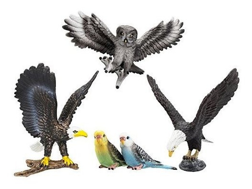 Toymany 5pcs Alta Figuras De Aves Realistas Aves Figuras De