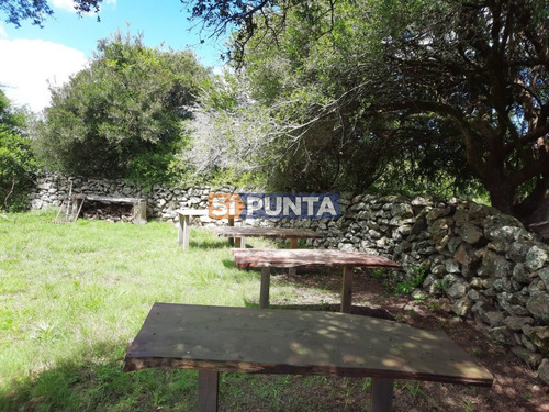 Imagen 21 de 22 de Linda Chacra De 5 Has En Las Cañas