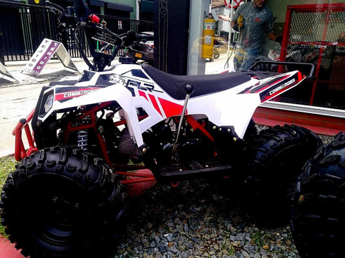 Cuatrimoto Polar 110 Motor 4t