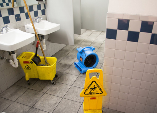 Ventilador De Piso Para Secado De Moquetas Profesional Azul