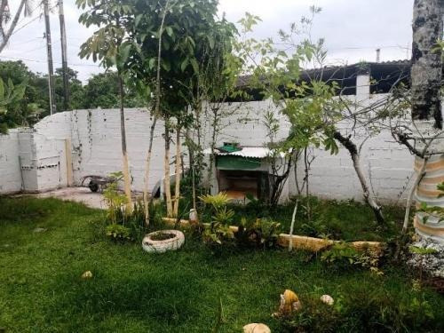 Imagem 4 de 14 de Vendo Casa Com Quintal E Suíte Em Itanhaém Litoral Sul De Sp