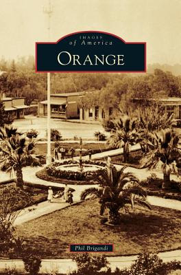 Libro Orange - Brigandi, Phil