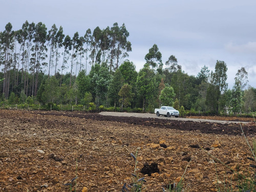 Se Vende Terreno Industrial Con Proyecto Listo En El Sector