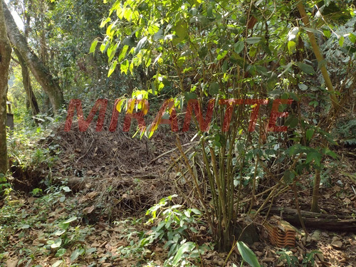 Imagem 2 de 4 de Terreno Em Tremembe - São Paulo, Sp - 325866