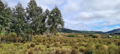 Imagen 10 de 16 de Chacra En Zona Del Betel, Sierra De Las Animas