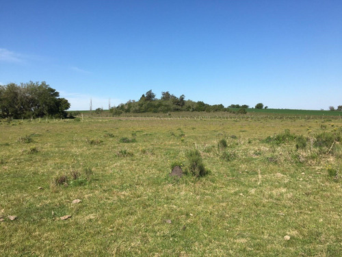 Venta Campo 29 Hectáreas, Colonia América. San José
