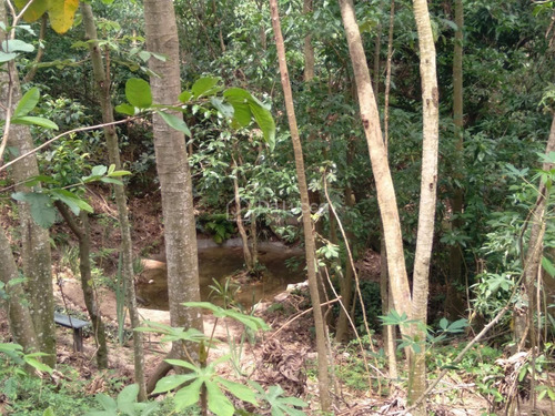 Imagem 14 de 28 de Chácara À Venda Em Chácaras Alpina - Ch009247