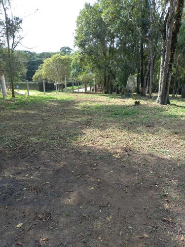 Imagem 10 de 15 de Sítio / Chácara Para Venda Em São José Dos Pinhais, Campo Largo Da Roseira, 3 Dormitórios, 1 Banheiro - 106_2-1239671