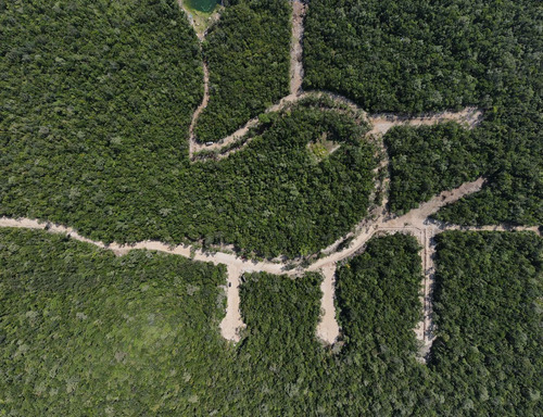 528 Tulum, Tulum, Quintana Roo, Lotes Residenciales Con Cenote Propio