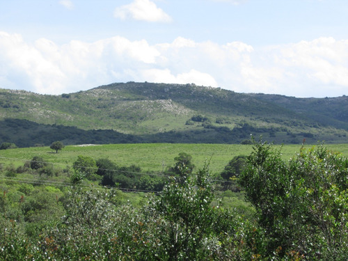 Imagen 19 de 22 de Alquiler Cabaña Los Pololos - Villa Serrana
