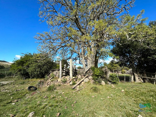 Imagen 4 de 24 de Lindo Campo Para Fraccionar, Sobre Ruta Y A Poco Mas De 1 Hora De Punta