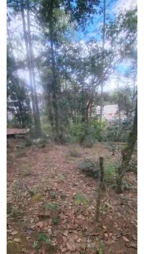 Amplio Terreno Para Cabañas En Los Alcanfores Sclc
